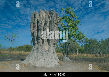 A giant Cathedral Termite mound in Australia's Northern Territory Stock Photo