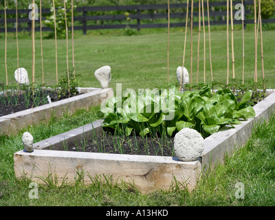 raised vegetable bed with pumice stone edges Stock Photo