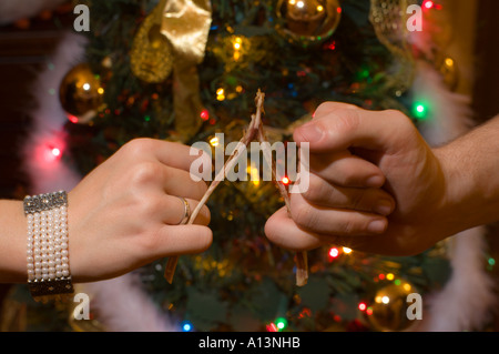 Making a wish with the turkey wishbone from Christmas dinner Stock Photo