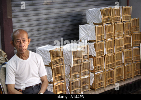 Man sits next to the birds he sells in the Hong Kong Bird Market (Yuen Po) Stock Photo
