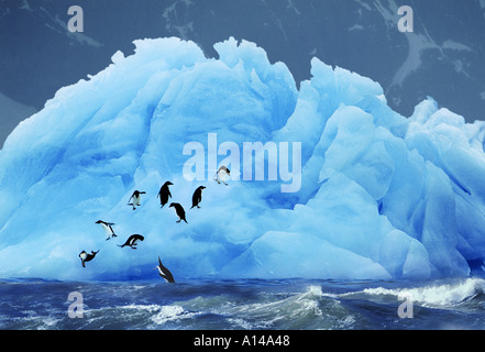 Adelie Penguins on blue iceberg Antarctica Stock Photo