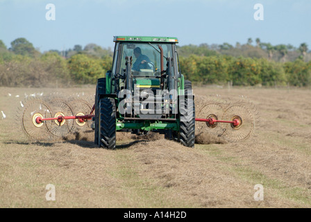 Farmer bailing hay in a field at Ruskin Florida Stock Photo