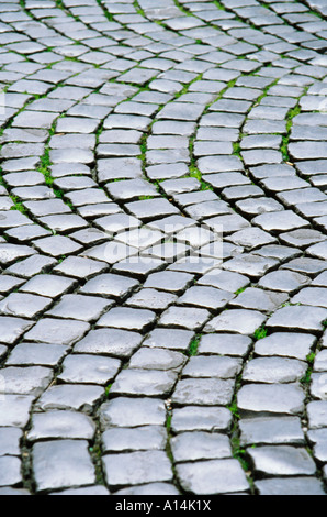 Closeup of cobblestones in a piazza Rome Italy Stock Photo