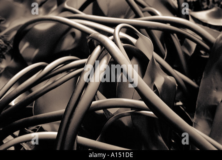 Kelp at low tide England UK Stock Photo