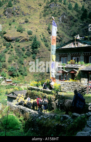 Tea house, yaks and Buddhist prayer flags, Himalayas, Nepal, Asia Stock Photo