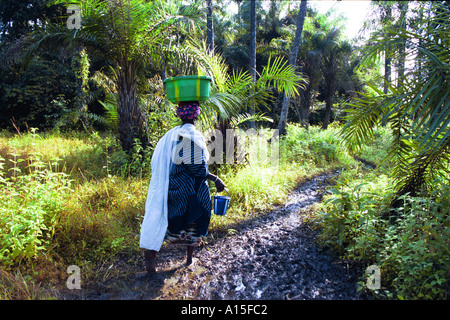 A woman from the village of Dembel Jumpora in the West African country of Guinea Bissau collects water. The women in this Stock Photo