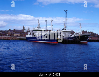 dh  PETERHEAD ABERDEENSHIRE Fishing boats alongside harbour quayside deep sea trawlers scotland large trawler vessels Stock Photo