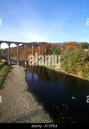 dh  RIVER TWEED BORDERS Trees river bank railway viaduct Stock Photo