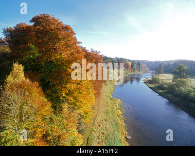 dh  RIVER TWEED BORDERS Autumnal golden brown trees river bank footpath Stock Photo