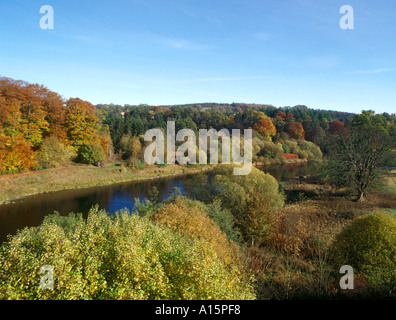 dh  RIVER TWEED BORDERS Autumnal golden brown trees river bank Stock Photo