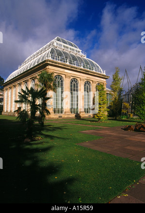 dh  ROYAL BOTANIC GARDEN EDINBURGH Palm tree glasshouse uk greenhouse gardens botanical Stock Photo