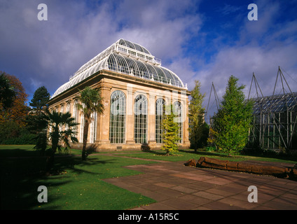 dh  ROYAL BOTANIC GARDEN EDINBURGH Palm tree glasshouse scottish botanical gardens scotland house Stock Photo