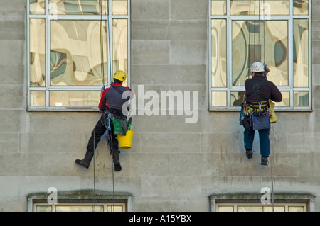 Horizontal close up portrait of two window cleaners suspended from ropes high up on an office block. Stock Photo