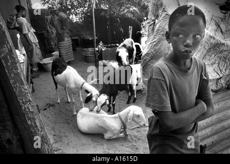 A Senegalese boy tries to find something to occupy his time while his mother and a friend meet outside her house to dye cloths Stock Photo