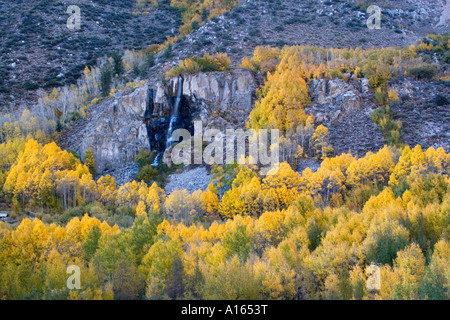Digital stock image of fall foliage and waterfall at South Fork of Bishop Creek in eastern Sierra Nevada mountains Stock Photo