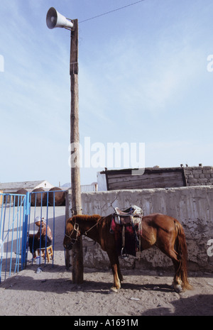 horse hovd market mongolia Stock Photo