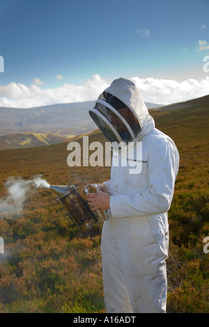 Beekeeper wearing beekeeper's clothing bee suits & smoke machine,  smoker on heather hills collecting honey Cairngorms National Park, Scotland,  UK
