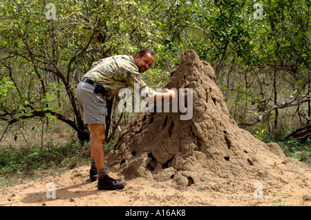South Africa  anthill ant heap Stock Photo