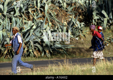 Cape Town Alexandra Township South Africa poverty Stock Photo