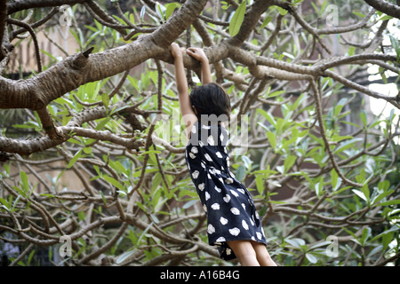 Indian small girls swinging on tree branch in Bombay Mumbai India Stock Photo