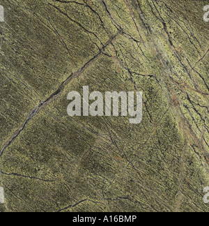 Close up of natural stone granite marble showing grains structure Stock Photo