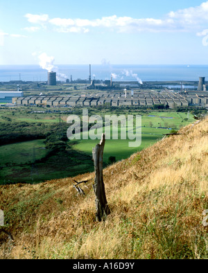 tree killed by acid rain with port talbot steel works in distance south wales Stock Photo