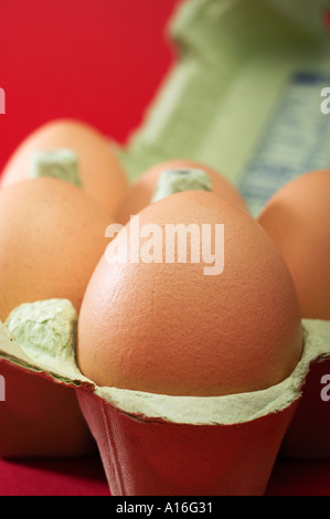 Eggs in eggbox Stock Photo