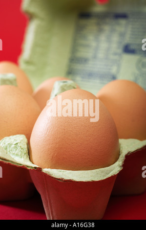 Eggs in eggbox Stock Photo