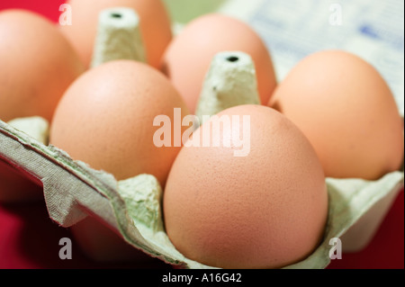 Chicken eggs in egg box Stock Photo