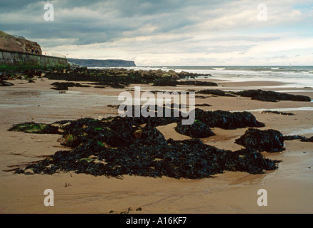Whitby beach in the winter North Yorkshire England UK Stock Photo