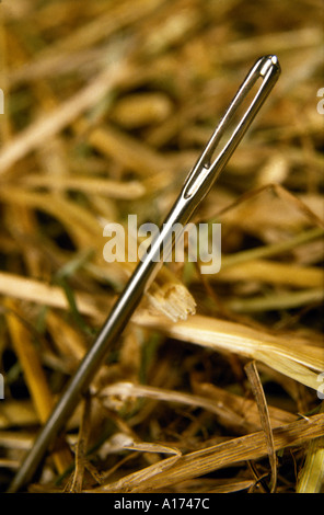 needle in haystack Stock Photo