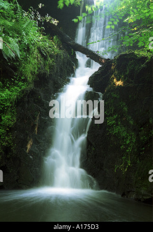 Finlaystone Country Park Scotland Stock Photo - Alamy