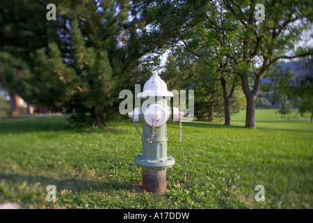 fire hydrant in suburban neighborhood of Boulder, Colorado Stock Photo
