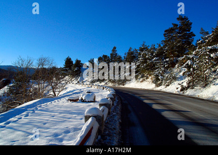 A road through the Snowy forest, Brasov, Transylvania, Romania. Stock Photo