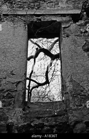 view through window in ruined house, winter, roxburghshire, scotland, uk Stock Photo