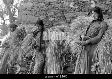 B/W of three Garwhali farm girls resting against a wall with harvested barley sheaves on their backs. Uttarkashi, Garhwal Himal, India Stock Photo
