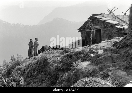 B/W landscape of three village girls with livestock outside their stone-built house on the mountainside. Uttarkashi, Garwhal Himal, N. India Stock Photo