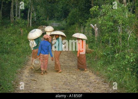 Women and children returning from the diamond mines near Martapura Borneo Indonesia Asia C Leimbach Stock Photo