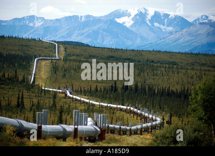 The Trans Alaska Oil Pipeline running on refridgerated support to stop oil heat melting the permafrost behind Mount Hayes 4116m Stock Photo