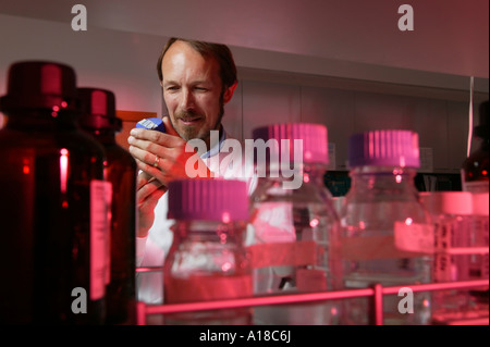 Scientist in lab Stock Photo