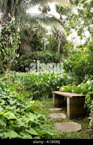 Andromeda botanic gardens barbados caribbean west indies Stock Photo