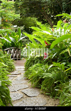 Andromeda botanic gardens barbados caribbean west indies Stock Photo