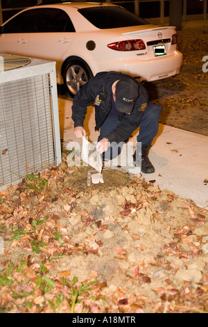 Crime Scene Technician pouring dental stone mix into shoe print to make a cast Stock Photo