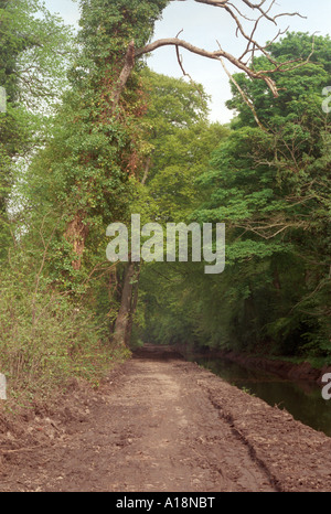 The walkway at the Ramparts in Navan County Meath Ireland Stock Photo