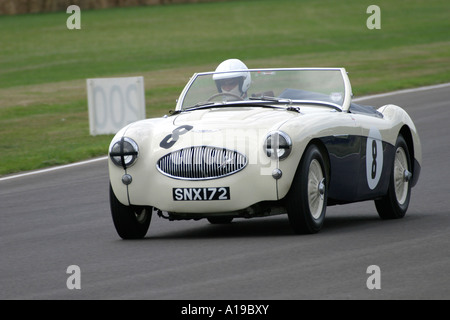 1955 Austin-Healey 100S at Goodwood Revival, Sussex, England. Stock Photo