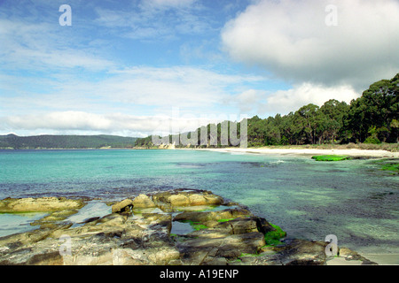 Deserted beach near Adventure Bay, Bruny Island, Tasmania, Australia Stock Photo