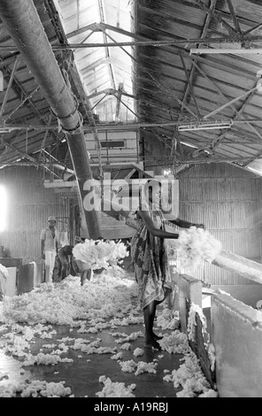 B/W of workers in a cotton processing factory. Bukoba, Tanzania Stock Photo