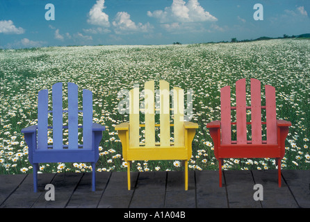 Three whimsical colorful chairs-- Blue, yellow and red-- Adirondack chairs sit in from of a field of blooming summer daisies, Missouri USA Stock Photo
