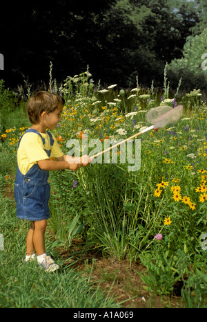 Active learning: Young boy trying to catch butterflies with net in a native blooming wildflower garden for school, project, Missouri USA Stock Photo