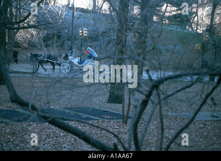 A horse and buggy seen through the trees in New York's Central Park Stock Photo